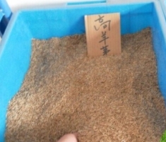 解析煙臺糊料的增稠功能